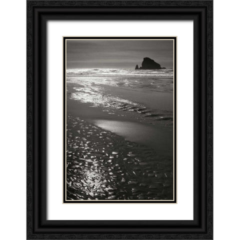 Seashore Serenity I BW Black Ornate Wood Framed Art Print with Double Matting by Geyman, Vitaly