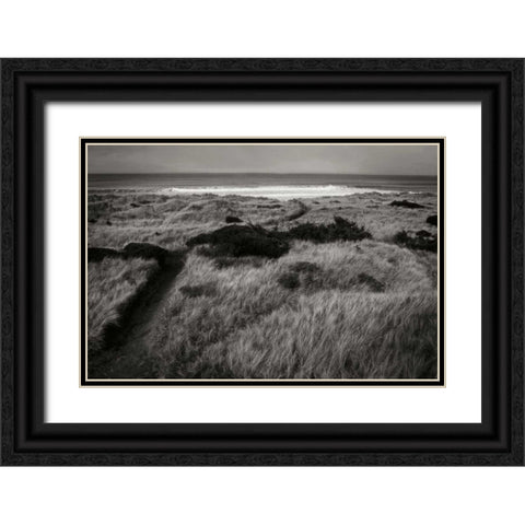 Coastal Spirit II Black Ornate Wood Framed Art Print with Double Matting by Geyman, Vitaly
