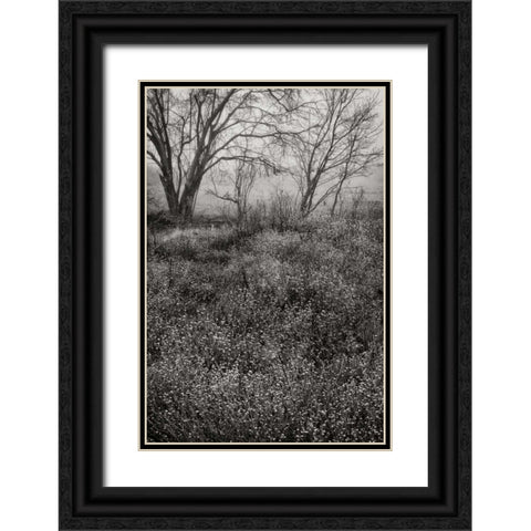 Country Serenity I Black Ornate Wood Framed Art Print with Double Matting by Geyman, Vitaly