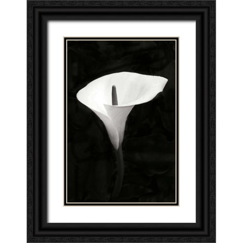 Calla Lily Perfection III Black Ornate Wood Framed Art Print with Double Matting by Geyman, Vitaly
