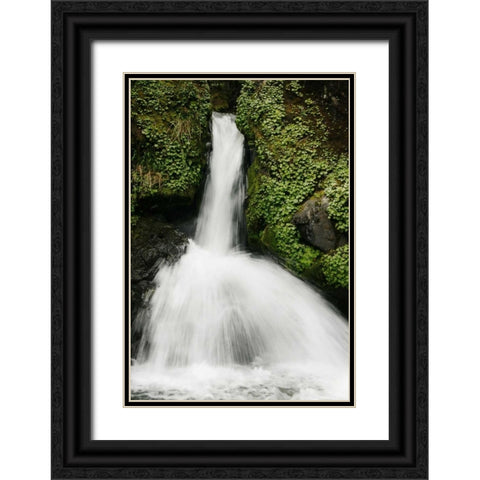Waterfall II Black Ornate Wood Framed Art Print with Double Matting by Geyman, Vitaly