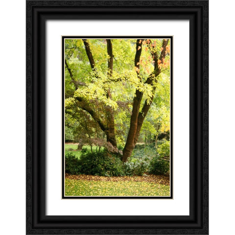 Fall Abundance II Black Ornate Wood Framed Art Print with Double Matting by Geyman, Vitaly