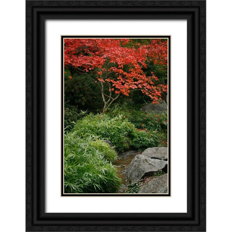 Fall Abundance III Black Ornate Wood Framed Art Print with Double Matting by Geyman, Vitaly