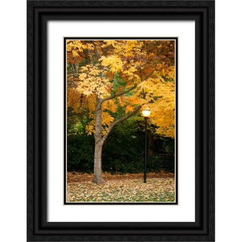 Fall Abundance X Black Ornate Wood Framed Art Print with Double Matting by Geyman, Vitaly