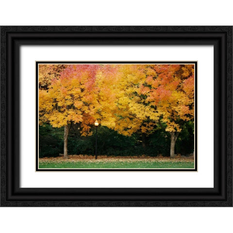 Fall Abundance V Black Ornate Wood Framed Art Print with Double Matting by Geyman, Vitaly