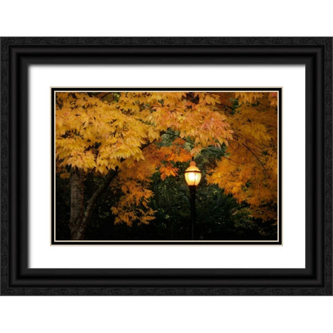 Fall Abundance VII Black Ornate Wood Framed Art Print with Double Matting by Geyman, Vitaly