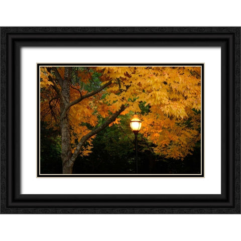 Fall Abundance VIII Black Ornate Wood Framed Art Print with Double Matting by Geyman, Vitaly