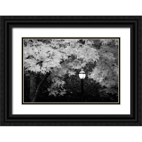 Fall Abundance VII B and W Black Ornate Wood Framed Art Print with Double Matting by Geyman, Vitaly