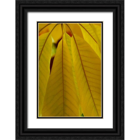 Golden Leafs II Black Ornate Wood Framed Art Print with Double Matting by Geyman, Vitaly