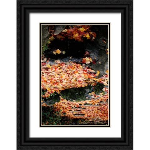 Fall Mandala I Black Ornate Wood Framed Art Print with Double Matting by Geyman, Vitaly