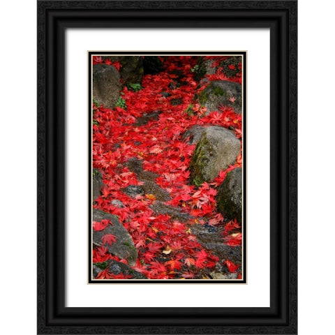 Fall Mandala II Black Ornate Wood Framed Art Print with Double Matting by Geyman, Vitaly
