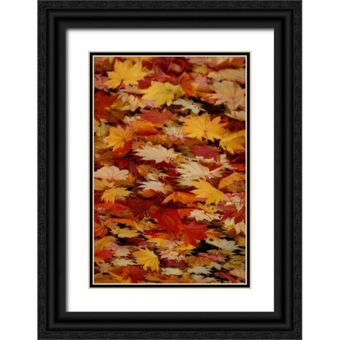 Fall Mandala III Black Ornate Wood Framed Art Print with Double Matting by Geyman, Vitaly