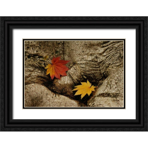 Ancient Beauty Black Ornate Wood Framed Art Print with Double Matting by Geyman, Vitaly