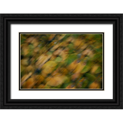 Nature Softness I Black Ornate Wood Framed Art Print with Double Matting by Geyman, Vitaly