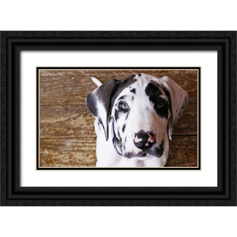 Grace II Black Ornate Wood Framed Art Print with Double Matting by White, Leesa