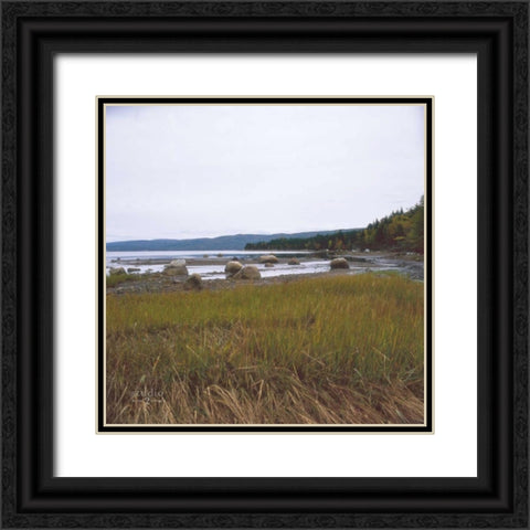 Estuary I Black Ornate Wood Framed Art Print with Double Matting by Studio 2