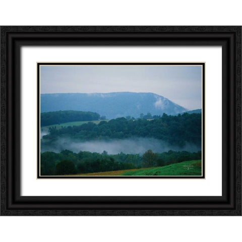 Nestled In II Black Ornate Wood Framed Art Print with Double Matting by Studio 2