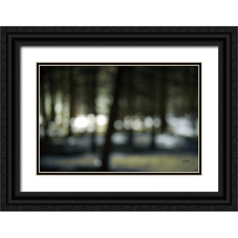 Bokeh Dream Black Ornate Wood Framed Art Print with Double Matting by Studio 2