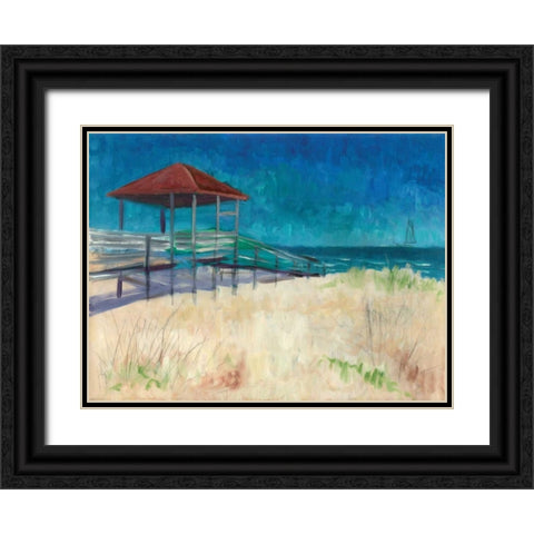 Coastal Black Ornate Wood Framed Art Print with Double Matting by Williams, Todd