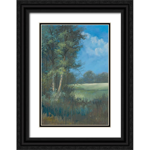 Azure Sky I Black Ornate Wood Framed Art Print with Double Matting by Wacaster, Linda