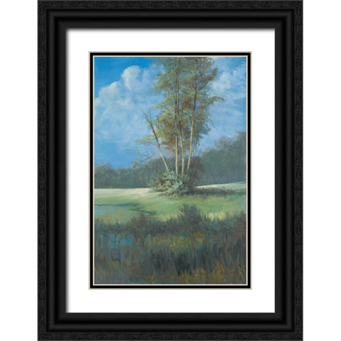 Azure Sky II Black Ornate Wood Framed Art Print with Double Matting by Wacaster, Linda