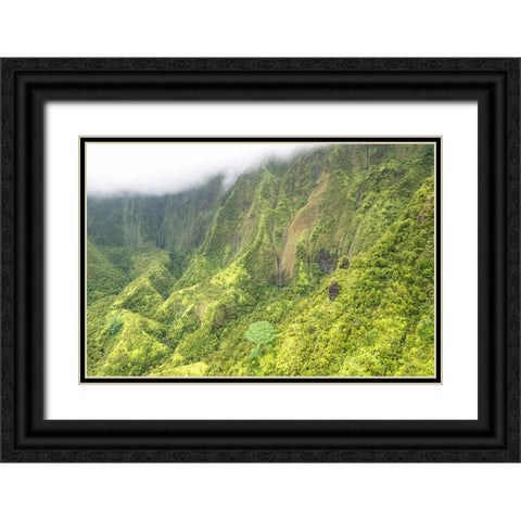 Water Ribbons II Black Ornate Wood Framed Art Print with Double Matting by Head, Danny