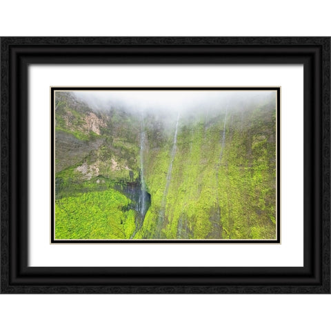 Water Ribbons III Black Ornate Wood Framed Art Print with Double Matting by Head, Danny