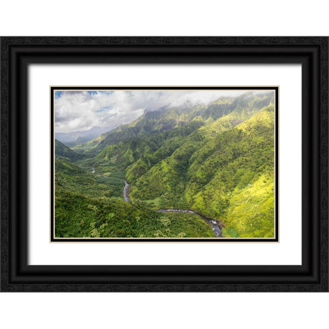 Hanalei Valley II Black Ornate Wood Framed Art Print with Double Matting by Head, Danny