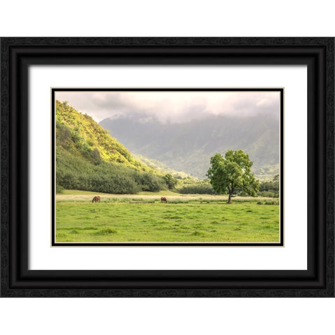 Kauai Grazing Black Ornate Wood Framed Art Print with Double Matting by Head, Danny
