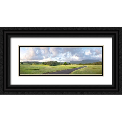 Jarassic Ranch Pano Black Ornate Wood Framed Art Print with Double Matting by Head, Danny