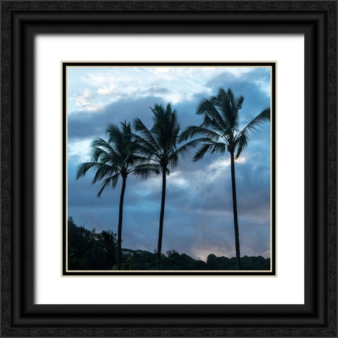 Palm Silhouette II Black Ornate Wood Framed Art Print with Double Matting by Head, Danny