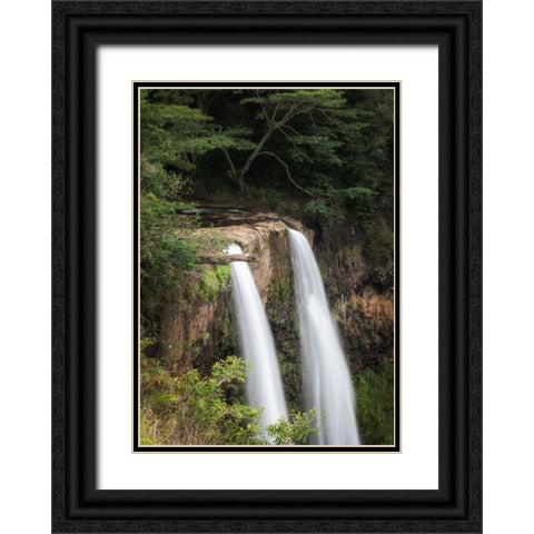 Wailua Falls Black Ornate Wood Framed Art Print with Double Matting by Head, Danny
