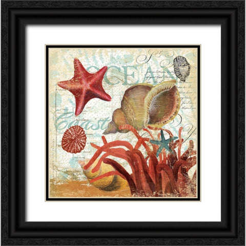 Shell Collector 1I Black Ornate Wood Framed Art Print with Double Matting by Art Licensing Studio