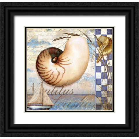 Shell Dreams 2 Black Ornate Wood Framed Art Print with Double Matting by Art Licensing Studio