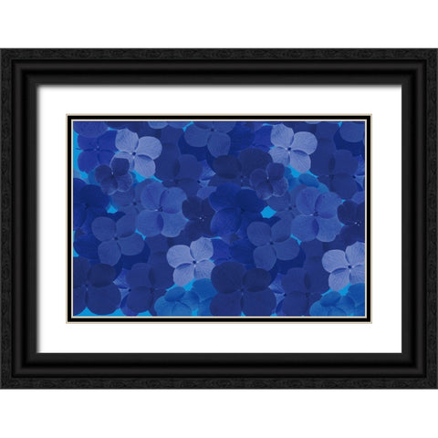 Cool Blue 9 Black Ornate Wood Framed Art Print with Double Matting by Art Licensing Studio