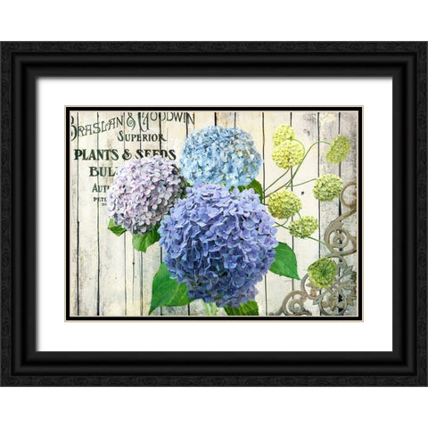 Farm Seed Hydrangeas Black Ornate Wood Framed Art Print with Double Matting by Art Licensing Studio