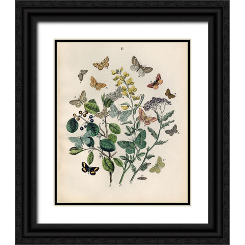 Papillion - Butterflies Black Ornate Wood Framed Art Print with Double Matting by Art Licensing Studio