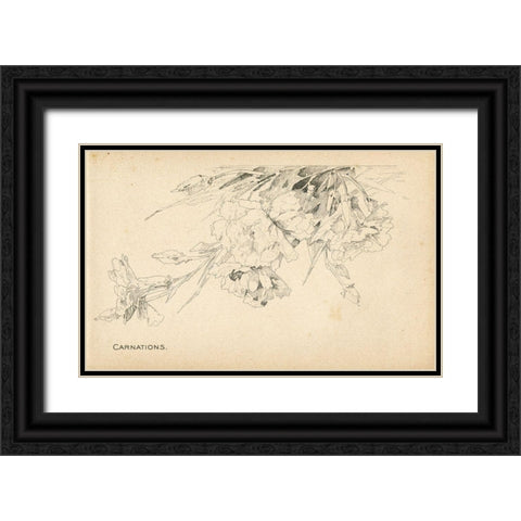 Carnations Black Ornate Wood Framed Art Print with Double Matting by Art Licensing Studio