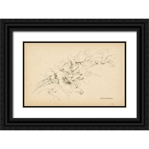 Cyclamen Black Ornate Wood Framed Art Print with Double Matting by Art Licensing Studio