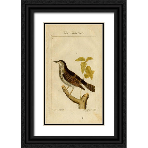 Der Ziemer Black Ornate Wood Framed Art Print with Double Matting by Art Licensing Studio