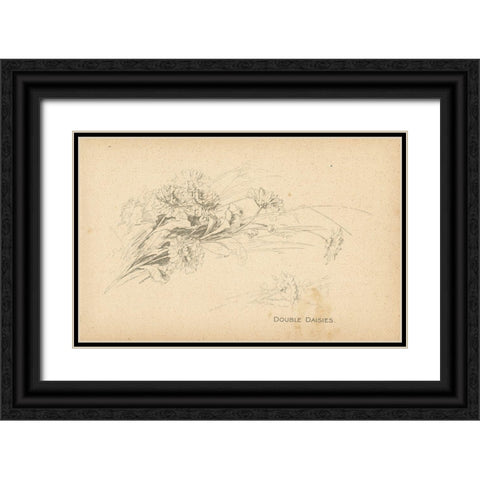 Double Daisies Black Ornate Wood Framed Art Print with Double Matting by Art Licensing Studio