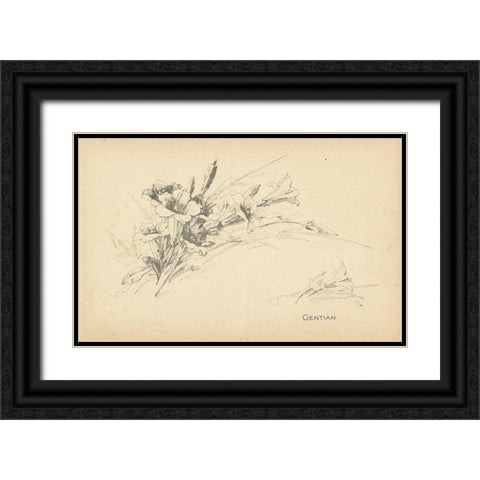 Gentian Black Ornate Wood Framed Art Print with Double Matting by Art Licensing Studio