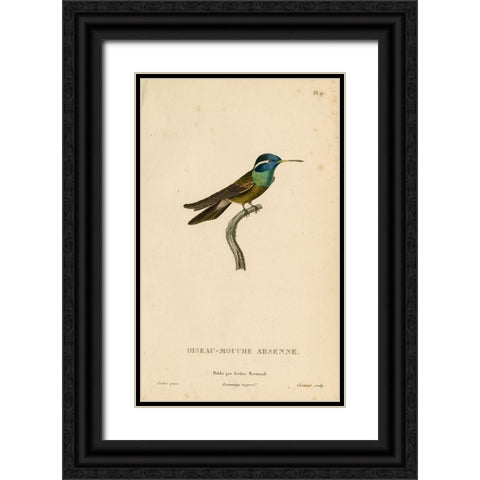 Oiseau-Mouche Arsenne Black Ornate Wood Framed Art Print with Double Matting by Art Licensing Studio