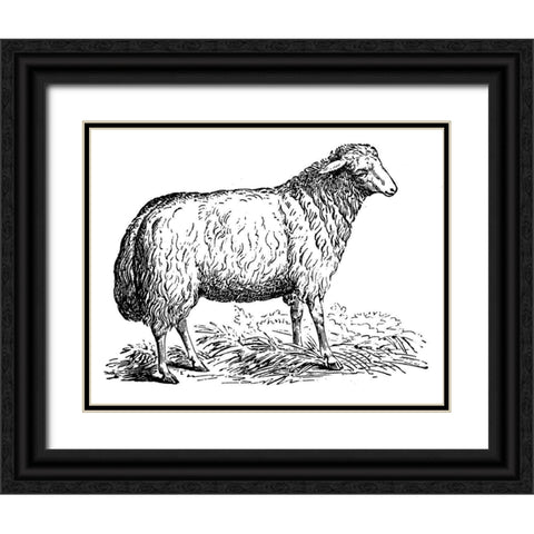 Ewe Black Ornate Wood Framed Art Print with Double Matting by Art Licensing Studio