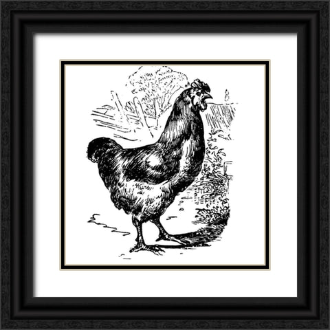 Garden Chicken Black Ornate Wood Framed Art Print with Double Matting by Art Licensing Studio
