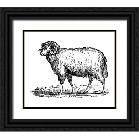 Mr Ram Black Ornate Wood Framed Art Print with Double Matting by Art Licensing Studio