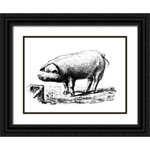 Nice Pig Black Ornate Wood Framed Art Print with Double Matting by Art Licensing Studio