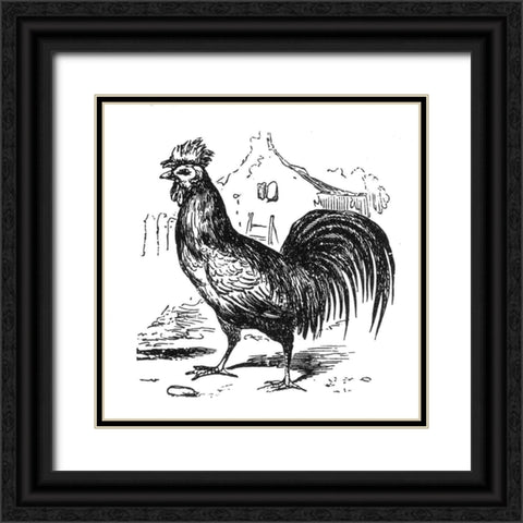 Roving Rooster Black Ornate Wood Framed Art Print with Double Matting by Art Licensing Studio
