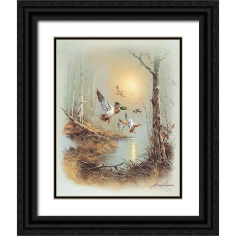 Ducks A Black Ornate Wood Framed Art Print with Double Matting by Orpinas, Andres