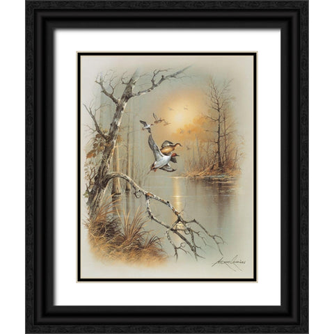 Ducks C Black Ornate Wood Framed Art Print with Double Matting by Orpinas, Andres